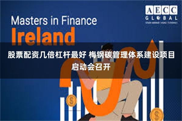 股票配资几倍杠杆最好 梅钢碳管理体系建设项目启动会召开