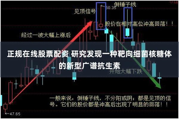 正规在线股票配资 研究发现一种靶向细菌核糖体的新型广谱抗生素