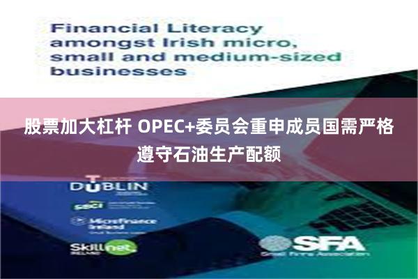 股票加大杠杆 OPEC+委员会重申成员国需严格遵守石油生产配额