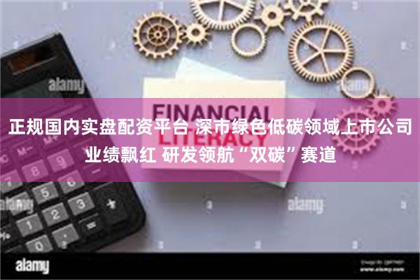 正规国内实盘配资平台 深市绿色低碳领域上市公司业绩飘红 研发领航“双碳”赛道