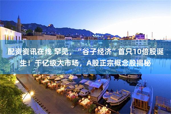 配资资讯在线 罕见，“谷子经济”首只10倍股诞生！千亿级大市场，A股正宗概念股揭秘
