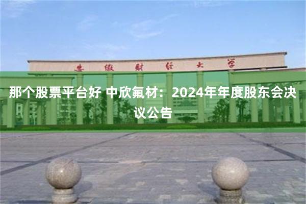那个股票平台好 中欣氟材：2024年年度股东会决议公告