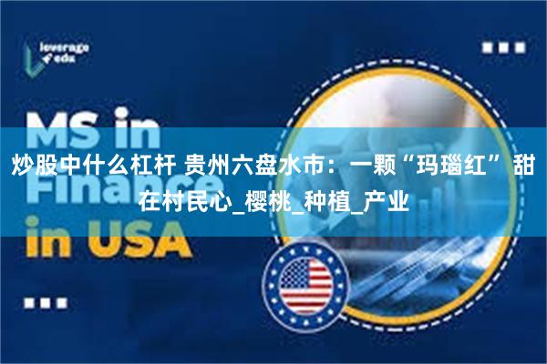 炒股中什么杠杆 贵州六盘水市：一颗“玛瑙红” 甜在村民心_樱桃_种植_产业