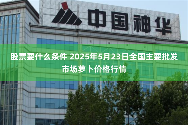 股票要什么条件 2025年5月23日全国主要批发市场萝卜价格行情