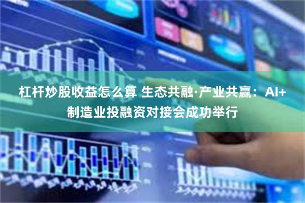 杠杆炒股收益怎么算 生态共融·产业共赢：AI+制造业投融资对接会成功举行