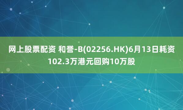 网上股票配资 和誉-B(02256.HK)6月13日耗资102.3万港元回购10万股
