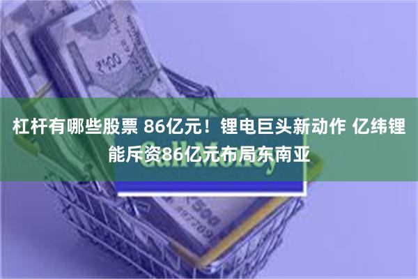 杠杆有哪些股票 86亿元！锂电巨头新动作 亿纬锂能斥资86亿元布局东南亚